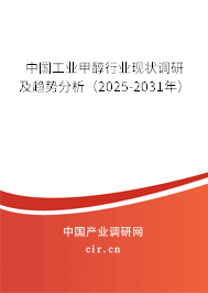 中國工業(yè)甲醇行業(yè)現(xiàn)狀調(diào)研及趨勢分析（2025-2031年）