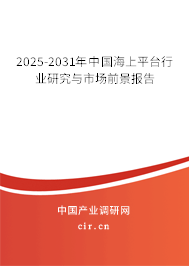 2025-2031年中國(guó)海上平臺(tái)行業(yè)研究與市場(chǎng)前景報(bào)告