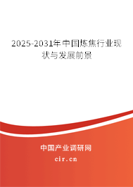 2025-2031年中國(guó)煉焦行業(yè)現(xiàn)狀與發(fā)展前景 2025-2031年中國(guó)煉焦行業(yè)現(xiàn)狀與發(fā)展前景