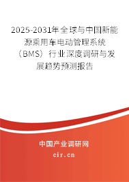 2025-2031年全球與中國(guó)新能源乘用車電動(dòng)管理系統(tǒng)（BMS）行業(yè)深度調(diào)研與發(fā)展趨勢(shì)預(yù)測(cè)報(bào)告