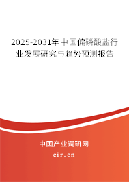 2025-2031年中國偏磷酸鹽行業(yè)發(fā)展研究與趨勢預測報告 2025-2031年中國偏磷酸鹽行業(yè)發(fā)展研究與趨勢預測報告