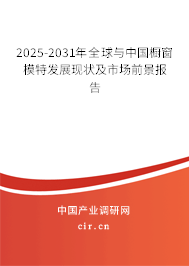 2025-2031年全球與中國櫥窗模特發(fā)展現(xiàn)狀及市場前景報告