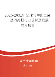 2025-2031年全球與中國二合一蒸汽拖把行業(yè)現(xiàn)狀及發(fā)展前景報告 2025-2031年全球與中國二合一蒸汽拖把行業(yè)現(xiàn)狀及發(fā)展前景報告