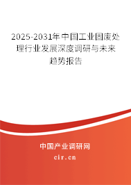 2025-2031年中國工業(yè)固廢處理行業(yè)發(fā)展深度調(diào)研與未來趨勢報告 2025-2031年中國工業(yè)固廢處理行業(yè)發(fā)展深度調(diào)研與未來趨勢報告
