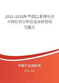 2025-2031年中國工業(yè)鋰電池市場現(xiàn)狀分析及發(fā)展趨勢研究報告