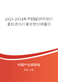 2025-2031年中國鍋爐系統(tǒng)行業(yè)現(xiàn)狀與行業(yè)前景分析報告 2025-2031年中國鍋爐系統(tǒng)行業(yè)現(xiàn)狀與行業(yè)前景分析報告