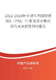 2022-2028年全球與中國聚酰胺6（PA6）行業(yè)發(fā)展全面調(diào)研與未來趨勢預(yù)測報告