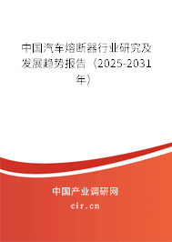 中國汽車熔斷器行業(yè)研究及發(fā)展趨勢報告（2025-2031年）