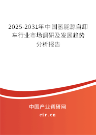 2025-2031年中國(guó)氫能源自卸車(chē)行業(yè)市場(chǎng)調(diào)研及發(fā)展趨勢(shì)分析報(bào)告 2025-2031年中國(guó)氫能源自卸車(chē)行業(yè)市場(chǎng)調(diào)研及發(fā)展趨勢(shì)分析報(bào)告