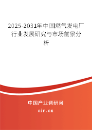 2025-2031年中國燃?xì)獍l(fā)電廠行業(yè)發(fā)展研究與市場前景分析
