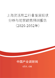 上海靈活用工行業(yè)發(fā)展現(xiàn)狀分析與前景趨勢(shì)預(yù)測(cè)報(bào)告(2026-2032年) 上海靈活用工行業(yè)發(fā)展現(xiàn)狀分析與前景趨勢(shì)預(yù)測(cè)報(bào)告(2026-2032年)