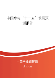 中國(guó)水電“十一五”發(fā)展預(yù)測(cè)報(bào)告 中國(guó)水電“十一五”發(fā)展預(yù)測(cè)報(bào)告