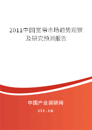 2011中國寬帶市場趨勢觀察及研究預(yù)測報告 2011中國寬帶市場趨勢觀察及研究預(yù)測報告