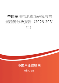 中國車用電池市場研究與前景趨勢(shì)分析報(bào)告（2025-2031年）