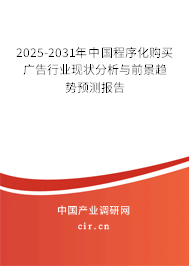 2025-2031年中國程序化購買廣告行業(yè)現(xiàn)狀分析與前景趨勢預(yù)測報(bào)告 2025-2031年中國程序化購買廣告行業(yè)現(xiàn)狀分析與前景趨勢預(yù)測報(bào)告