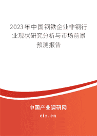 2023年中國(guó)鋼鐵企業(yè)非鋼行業(yè)現(xiàn)狀研究分析與市場(chǎng)前景預(yù)測(cè)報(bào)告 2023年中國(guó)鋼鐵企業(yè)非鋼行業(yè)現(xiàn)狀研究分析與市場(chǎng)前景預(yù)測(cè)報(bào)告