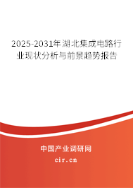 2025-2031年湖北集成電路行業(yè)現(xiàn)狀分析與前景趨勢報告 2025-2031年湖北集成電路行業(yè)現(xiàn)狀分析與前景趨勢報告