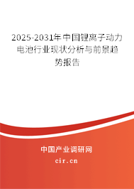 2025-2031年中國鋰離子動力電池行業(yè)現(xiàn)狀分析與前景趨勢報告