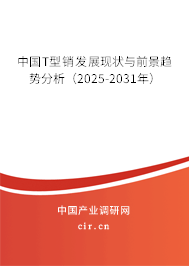 中國T型銷發(fā)展現(xiàn)狀與前景趨勢分析（2025-2031年）