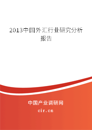 2013中國(guó)外匯行業(yè)研究分析報(bào)告 2013中國(guó)外匯行業(yè)研究分析報(bào)告