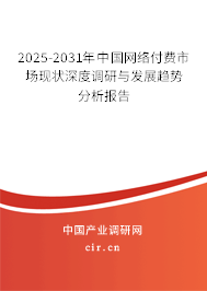 2025-2031年中國網(wǎng)絡(luò)付費市場現(xiàn)狀深度調(diào)研與發(fā)展趨勢分析報告 2025-2031年中國網(wǎng)絡(luò)付費市場現(xiàn)狀深度調(diào)研與發(fā)展趨勢分析報告