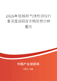 2026年版袖珍氣體檢測(cè)儀行業(yè)深度調(diào)研及市場(chǎng)前景分析報(bào)告 2026年版袖珍氣體檢測(cè)儀行業(yè)深度調(diào)研及市場(chǎng)前景分析報(bào)告