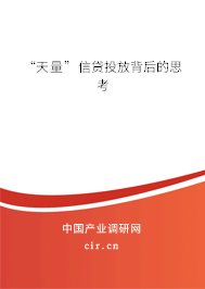“天量”信貸投放背后的思考