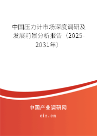 中國壓力計市場深度調(diào)研及發(fā)展前景分析報告(2025-2031年) 中國壓力計市場深度調(diào)研及發(fā)展前景分析報告(2025-2031年)