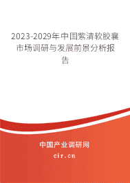 2023-2029年中國紫清軟膠襄市場調(diào)研與發(fā)展前景分析報告