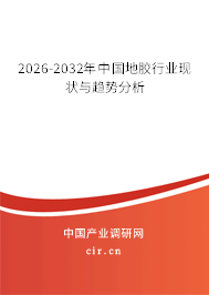 2026-2032年中國(guó)地膠行業(yè)現(xiàn)狀與趨勢(shì)分析