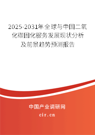 2025-2031年全球與中國(guó)二氧化碳固化服務(wù)發(fā)展現(xiàn)狀分析及前景趨勢(shì)預(yù)測(cè)報(bào)告