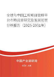 全球與中國(guó)工程項(xiàng)目管理平臺(tái)市場(chǎng)調(diào)查研究及發(fā)展前景分析報(bào)告（2025-2031年）