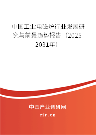 中國工業(yè)電磁爐行業(yè)發(fā)展研究與前景趨勢報告(2025-2031年) 中國工業(yè)電磁爐行業(yè)發(fā)展研究與前景趨勢報告(2025-2031年)