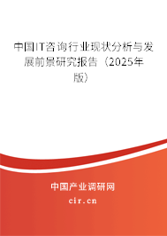 中國IT咨詢行業(yè)現(xiàn)狀分析與發(fā)展前景研究報告(2025年版) 中國IT咨詢行業(yè)現(xiàn)狀分析與發(fā)展前景研究報告(2025年版)