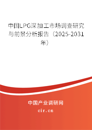 中國LPG深加工市場調(diào)查研究與前景分析報告（2025-2031年）