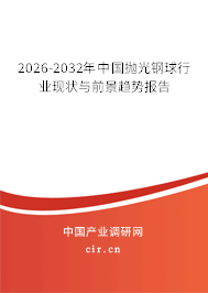 2026-2032年中國(guó)拋光鋼球行業(yè)現(xiàn)狀與前景趨勢(shì)報(bào)告