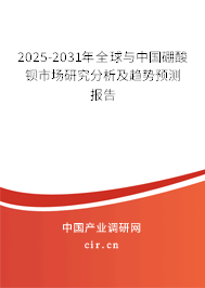 2025-2031年全球與中國硼酸鋇市場研究分析及趨勢預(yù)測報告