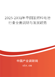 2025-2031年中國(guó)氫燃料電池行業(yè)全面調(diào)研與發(fā)展趨勢(shì)