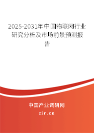 2025-2031年中國物聯(lián)網(wǎng)行業(yè)研究分析及市場前景預(yù)測報(bào)告