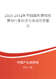 2025-2031年中國翼形螺帽和螺母行業(yè)現(xiàn)狀與發(fā)展前景報告