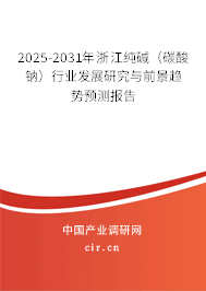 2025-2031年浙江純堿(碳酸鈉)行業(yè)發(fā)展研究與前景趨勢預測報告 2025-2031年浙江純堿(碳酸鈉)行業(yè)發(fā)展研究與前景趨勢預測報告
