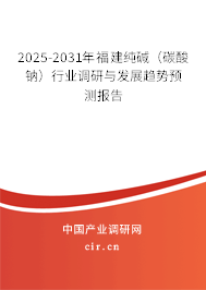 2025-2031年福建純堿(碳酸鈉)行業(yè)調(diào)研與發(fā)展趨勢預(yù)測報告 2025-2031年福建純堿(碳酸鈉)行業(yè)調(diào)研與發(fā)展趨勢預(yù)測報告