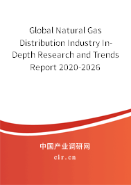 Global Natural Gas Distribution Industry In-Depth Research and Trends Report 2020-2026