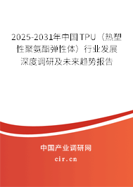 2025-2031年中國(guó)TPU(熱塑性聚氨酯彈性體)行業(yè)發(fā)展深度調(diào)研及未來(lái)趨勢(shì)報(bào)告 2025-2031年中國(guó)TPU(熱塑性聚氨酯彈性體)行業(yè)發(fā)展深度調(diào)研及未來(lái)趨勢(shì)報(bào)告