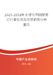 2025-2031年全球與中國星星燈行業(yè)現(xiàn)狀及前景趨勢分析報告