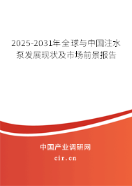 2025-2031年全球與中國注水泵發(fā)展現(xiàn)狀及市場前景報告 2025-2031年全球與中國注水泵發(fā)展現(xiàn)狀及市場前景報告