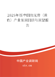 2025年版中國拋光膏（黃色）產(chǎn)業(yè)發(fā)展回顧與展望報(bào)告