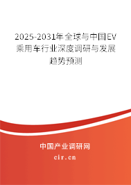 2025-2031年全球與中國(guó)EV乘用車行業(yè)深度調(diào)研與發(fā)展趨勢(shì)預(yù)測(cè)