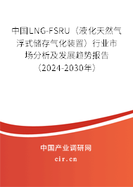 中國LNG-FSRU（液化天然氣浮式儲存氣化裝置）行業(yè)市場分析及發(fā)展趨勢報告（2024-2030年）