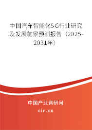 中國(guó)汽車智能化5G行業(yè)研究及發(fā)展前景預(yù)測(cè)報(bào)告（2025-2031年）